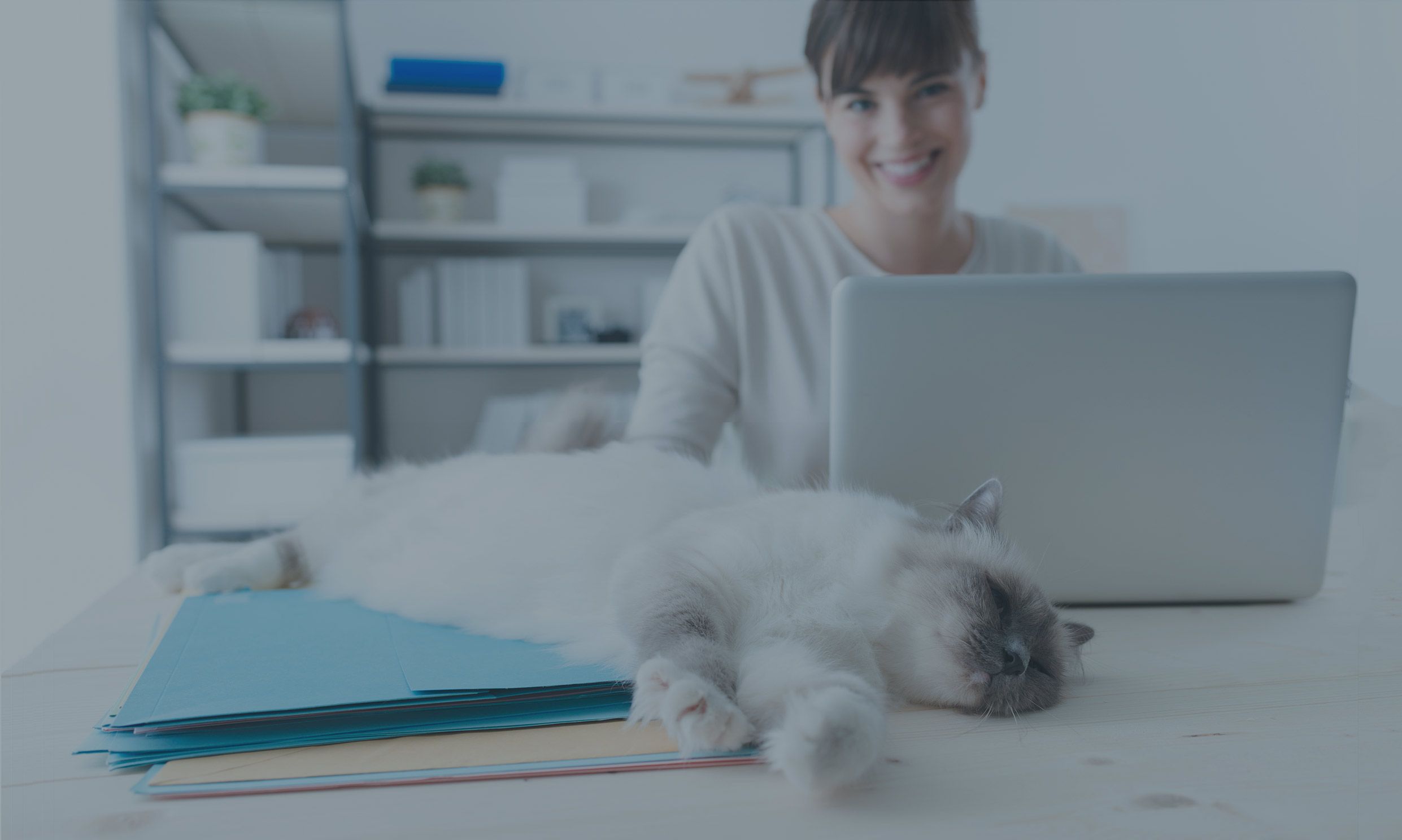 3Shape learning online hub